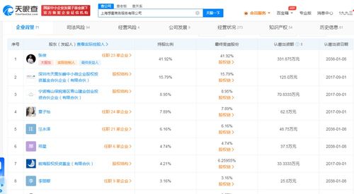 商務(wù)信息咨詢(xún) 助力企業(yè)決策與發(fā)展的關(guān)鍵支持